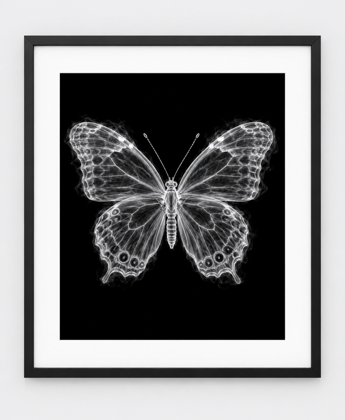 EXPOSED 002 — BUTTERFLY artwork in 16 × 20 black frame with white mat