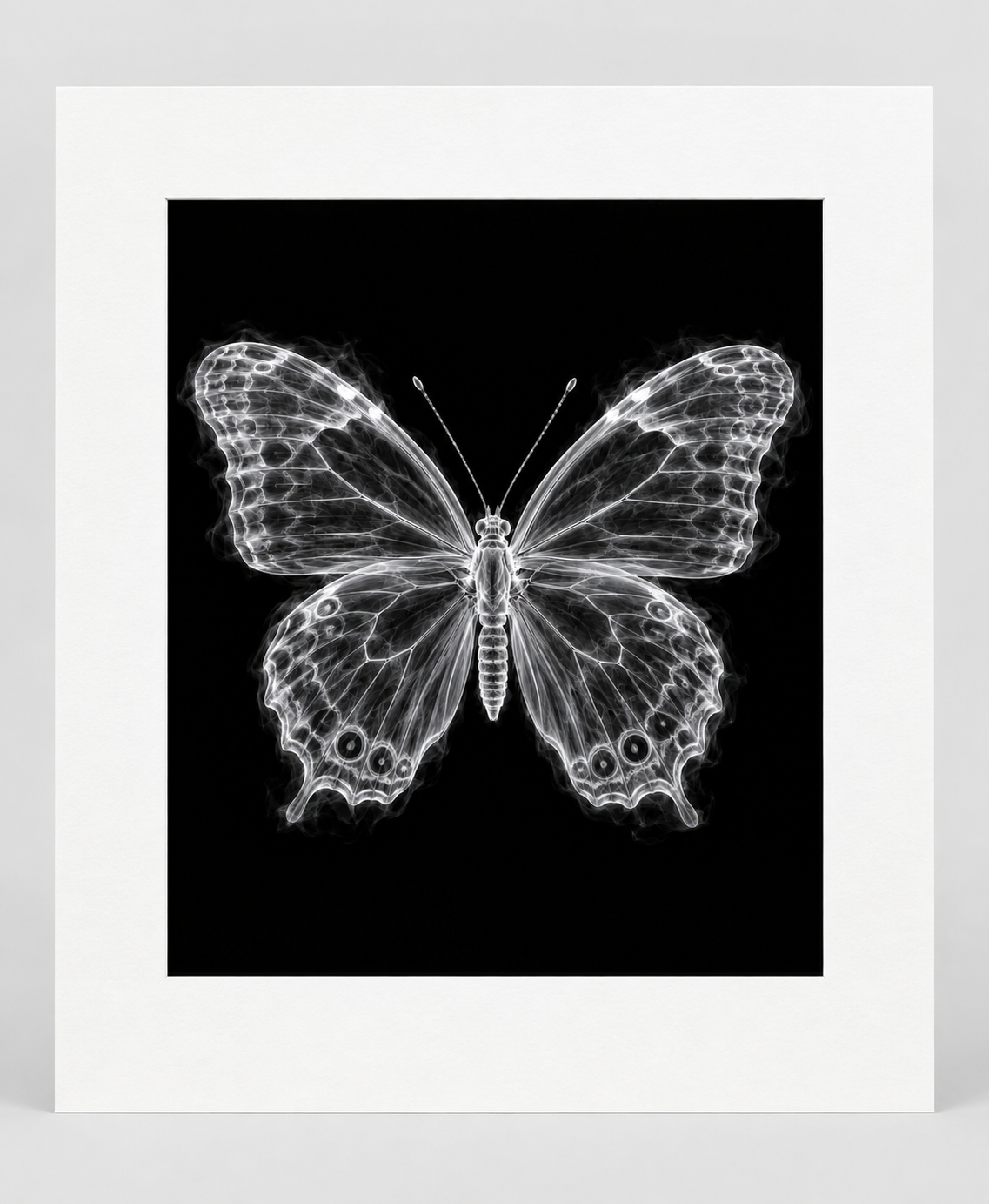 EXPOSED 002 — BUTTERFLY artwork in 16 × 20 white mat