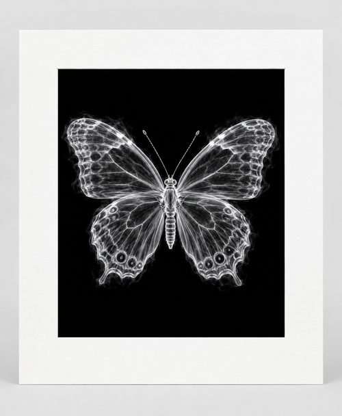 EXPOSED 002 — BUTTERFLY artwork in 16 × 20 white mat