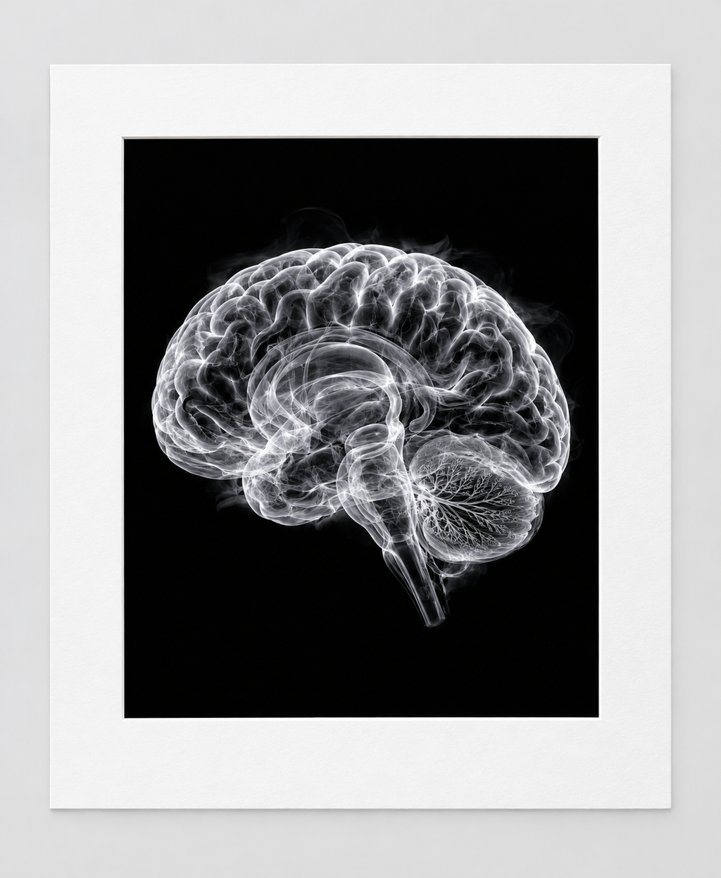 EXPOSED 005 — BRAIN artwork in 16 × 20 white mat
