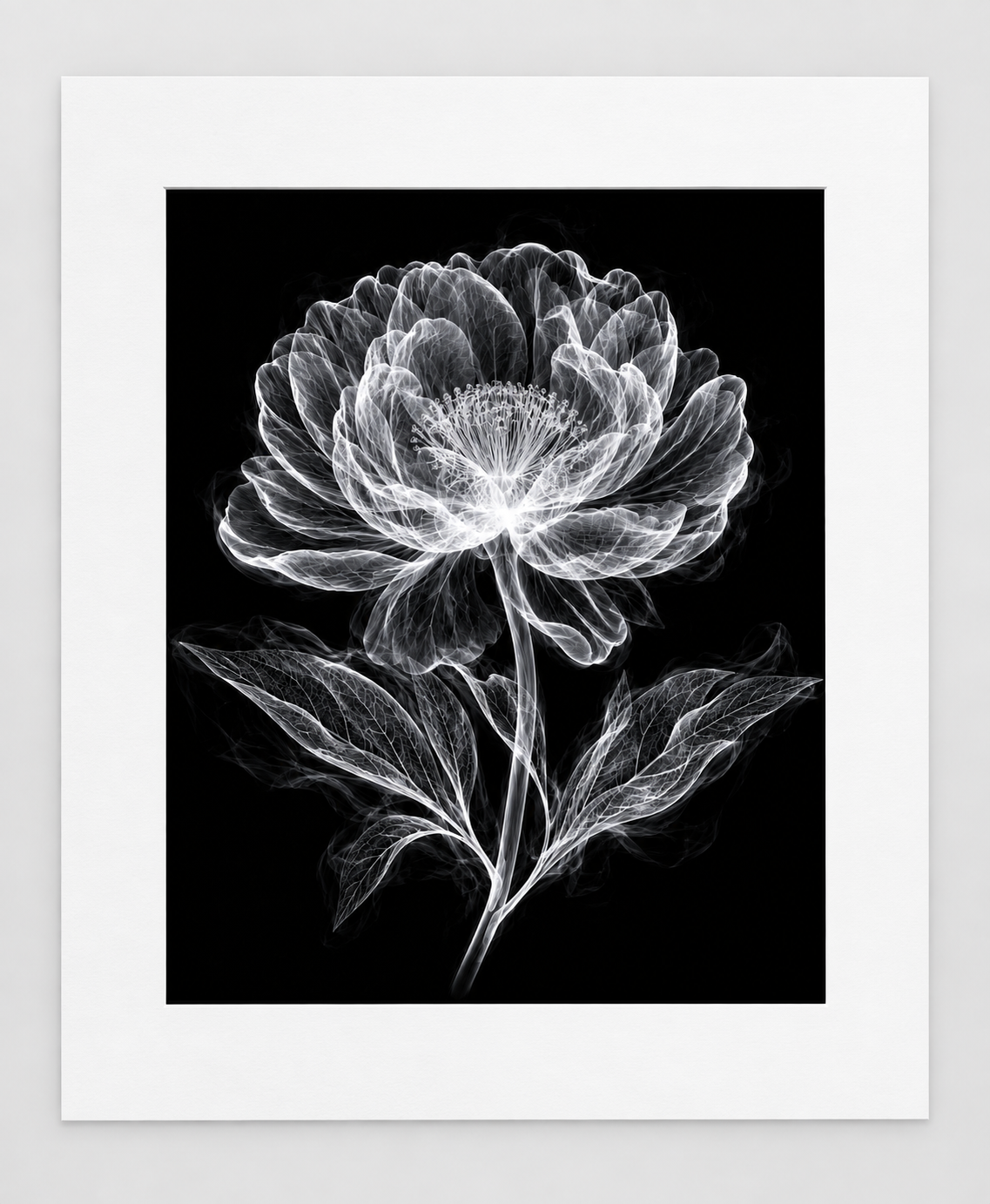 EXPOSED 006 — MADONNA LILY artwork in 16 × 20 white mat