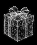 EXPOSED Gift detailed X-ray artwork
