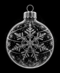 EXPOSED Ornament detailed X-ray artwork