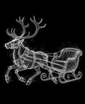 EXPOSED Reindeer and Sleigh detailed X-ray artwork