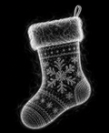 EXPOSED Stocking detailed X-ray artwork