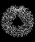 EXPOSED Wreath detailed X-ray artwork