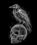 EXPOSED Halloween Raven on Skull high-detail X-ray artwork