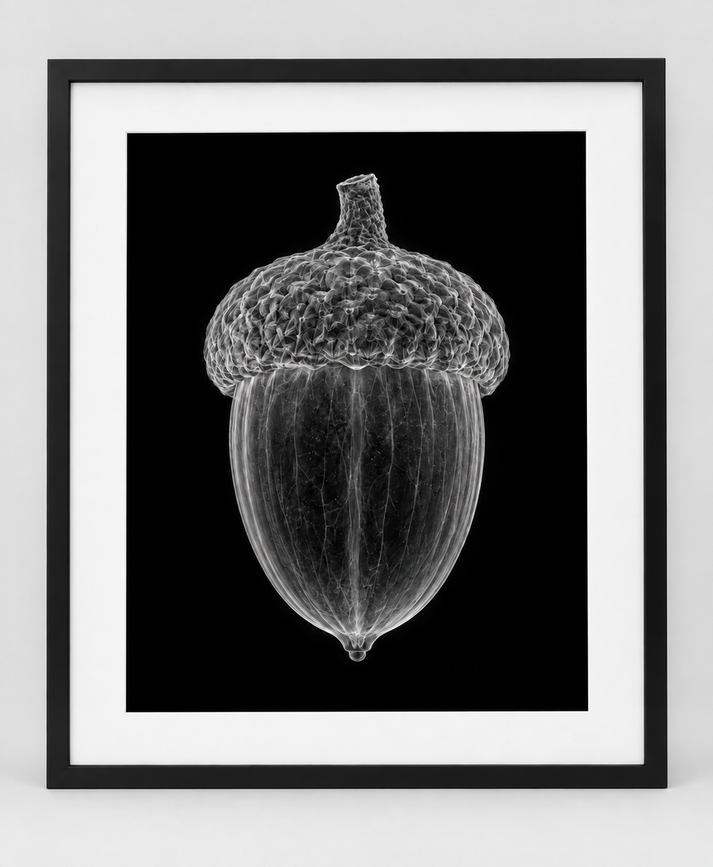 EXPOSED AUTUMN — ACORN — 14 × 17 artwork in a slim black 16 × 20 frame with white mat