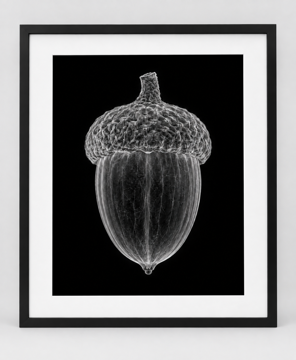EXPOSED AUTUMN — ACORN — 14 × 17 artwork in a slim black 16 × 20 frame with white mat