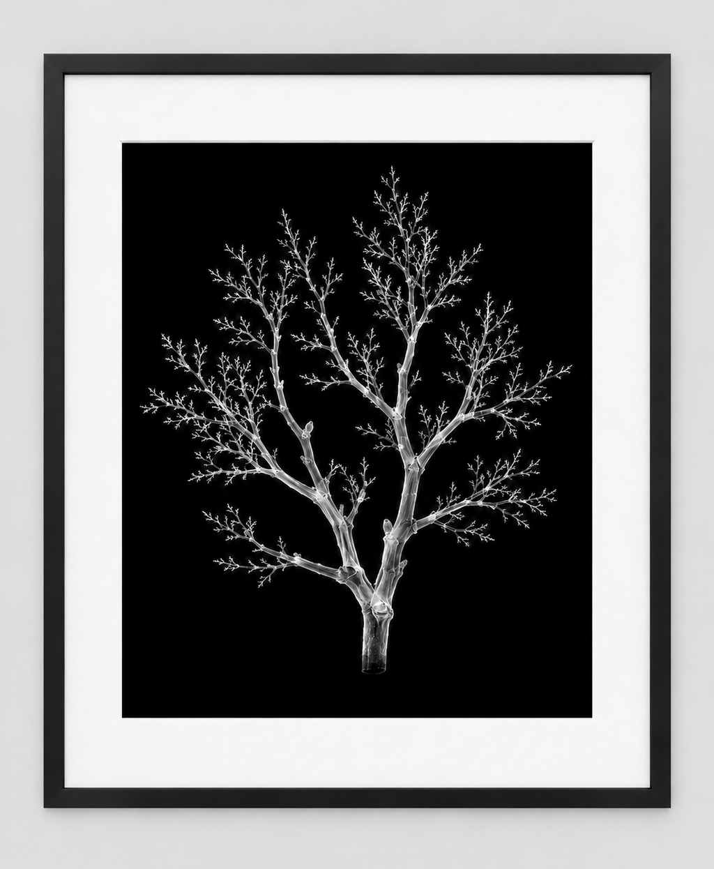 EXPOSED AUTUMN — BARE BRANCH — 14 × 17 artwork in a slim black 16 × 20 frame with white mat