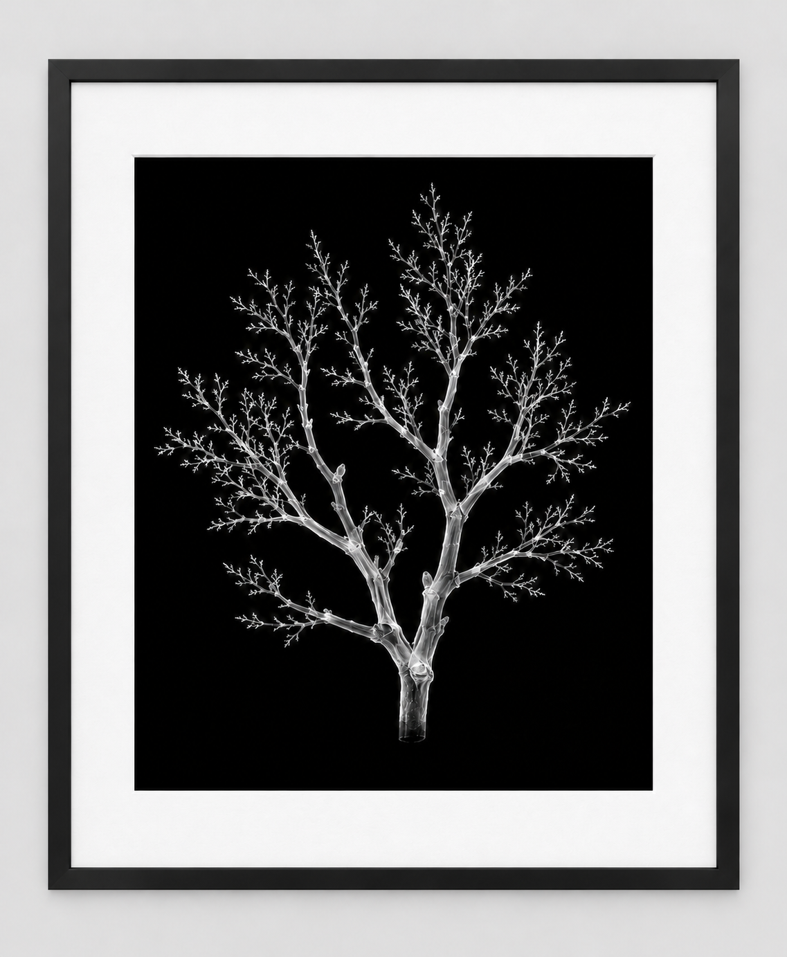 EXPOSED AUTUMN — BARE BRANCH — 14 × 17 artwork in a slim black 16 × 20 frame with white mat
