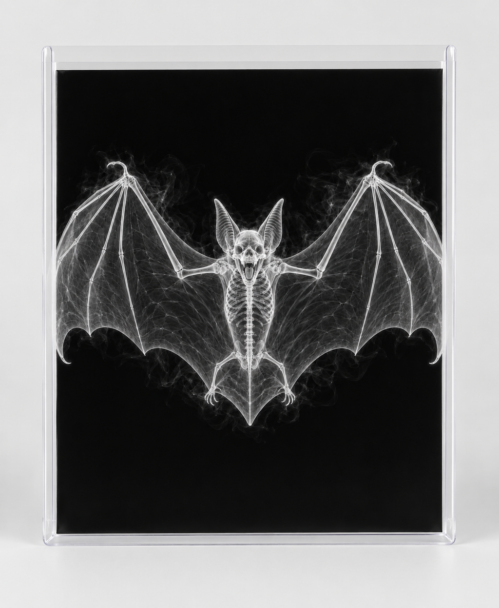 EXPOSED HALLOWEEN — BAT in clear rigid card sleeve