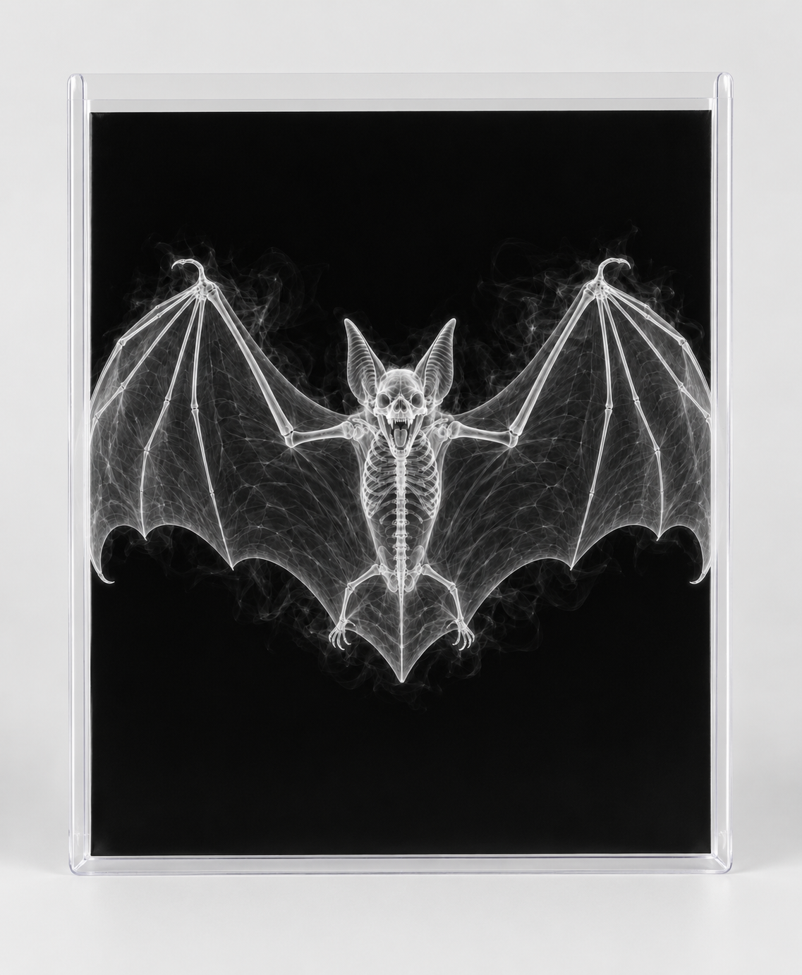 EXPOSED HALLOWEEN — BAT in clear rigid card sleeve