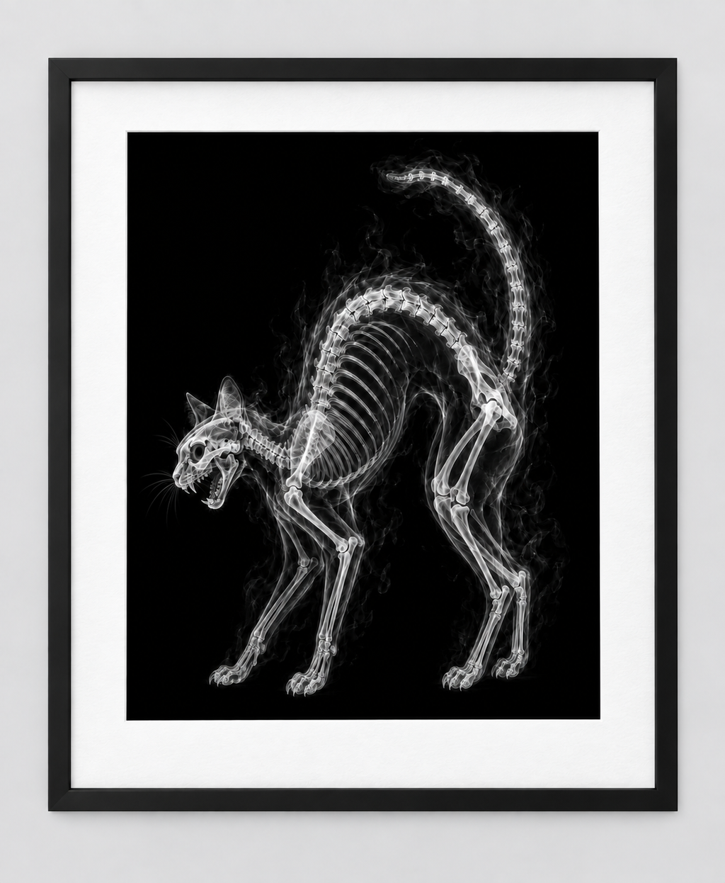 EXPOSED HALLOWEEN — BLACK CAT — 14 × 17 artwork in a slim black 16 × 20 frame with white mat