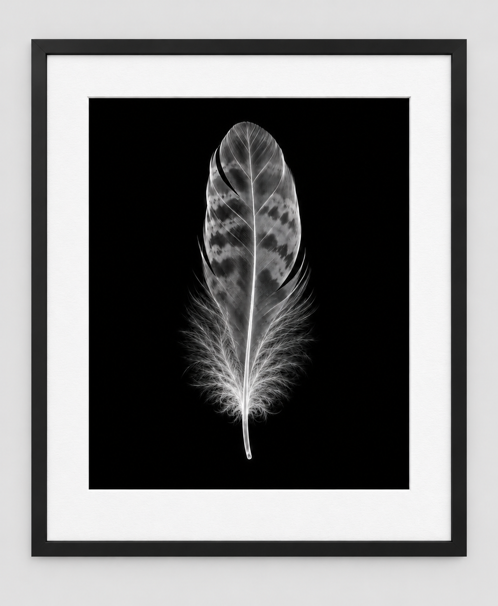 EXPOSED AUTUMN — FEATHER — 14 × 17 artwork in a slim black 16 × 20 frame with white mat