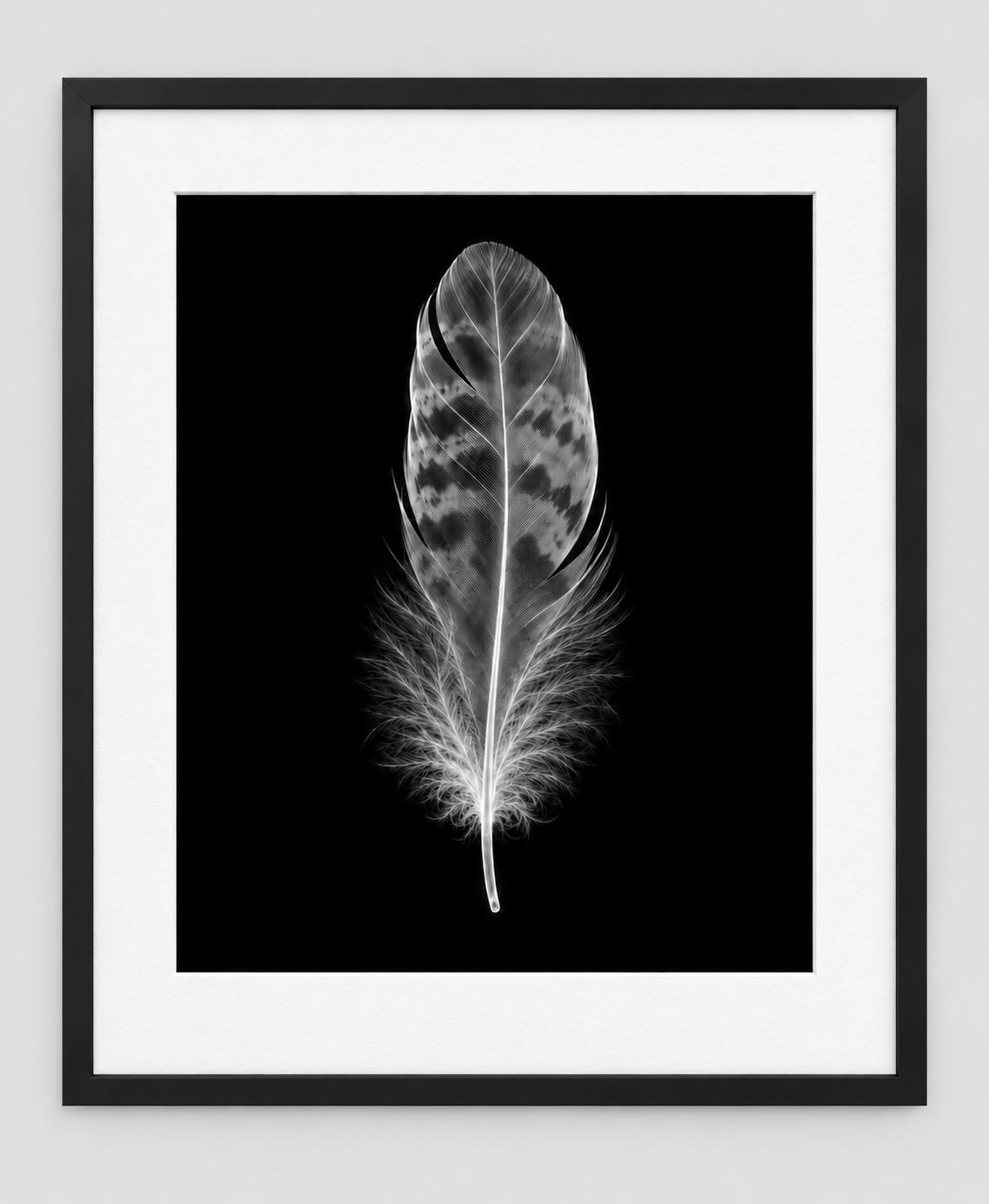 EXPOSED AUTUMN — FEATHER — 14 × 17 artwork in a slim black 16 × 20 frame with white mat