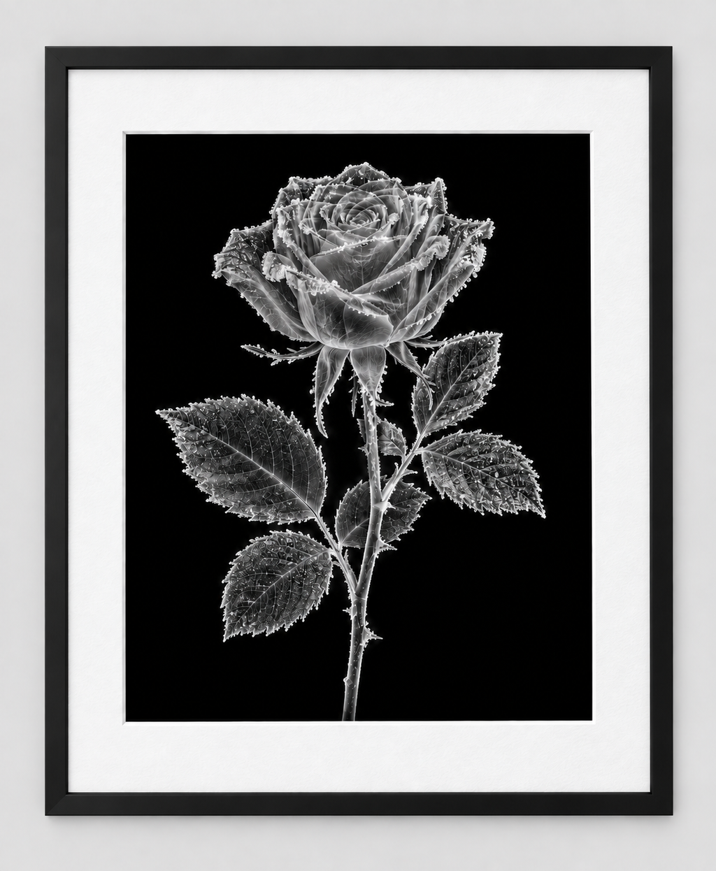 EXPOSED WINTER — FROZEN ROSE — 14 × 17 artwork in a slim black 16 × 20 frame with white mat