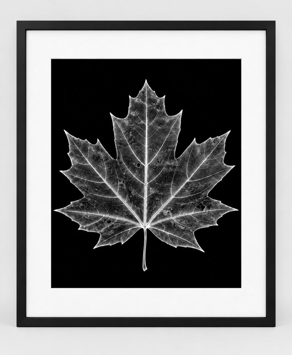 EXPOSED AUTUMN — MAPLE LEAF — 14 × 17 artwork in a slim black 16 × 20 frame with white mat