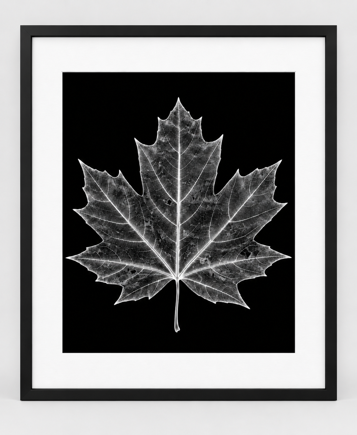 EXPOSED AUTUMN — MAPLE LEAF — 14 × 17 artwork in a slim black 16 × 20 frame with white mat