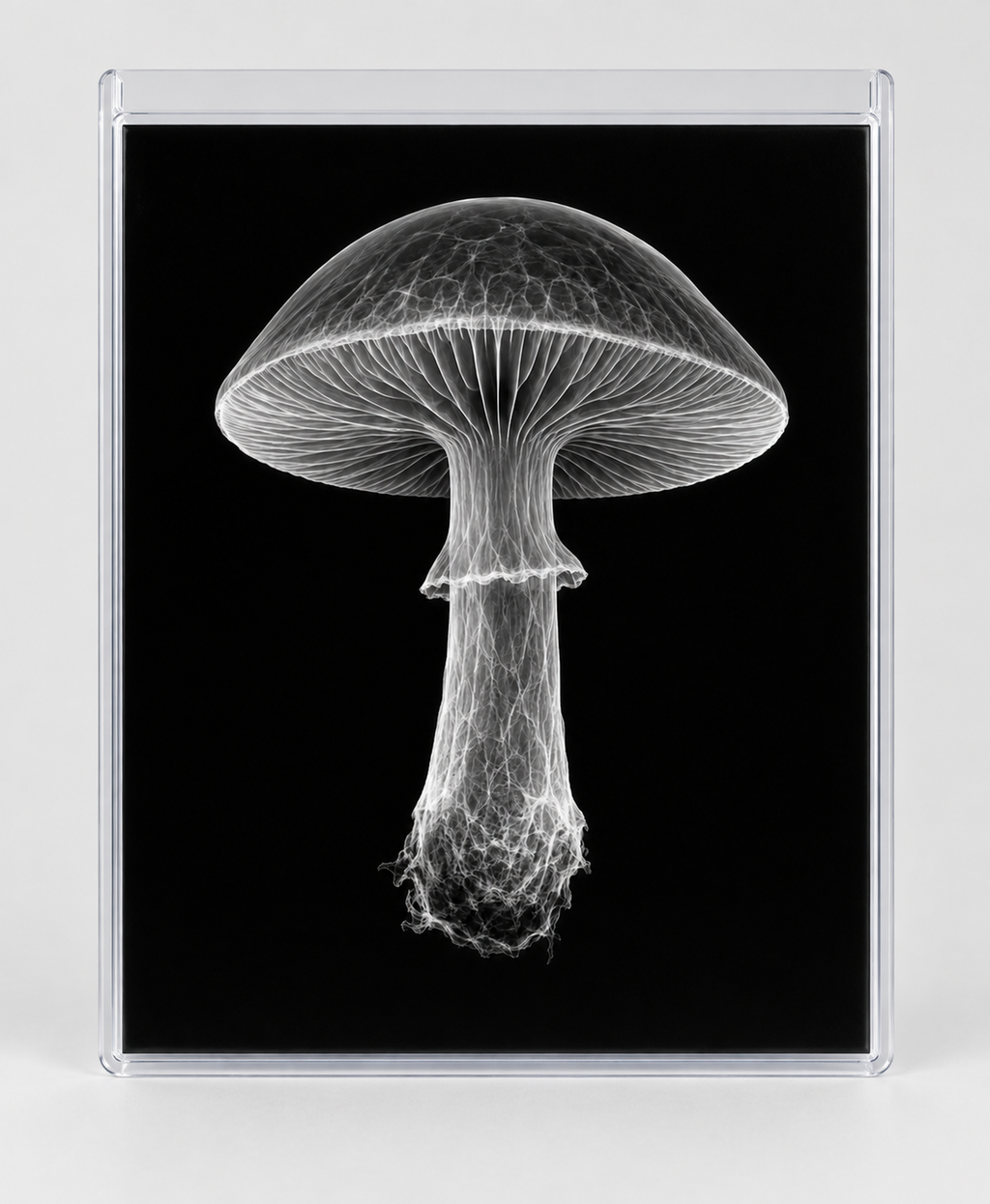 EXPOSED AUTUMN — MUSHROOM in clear rigid card sleeve