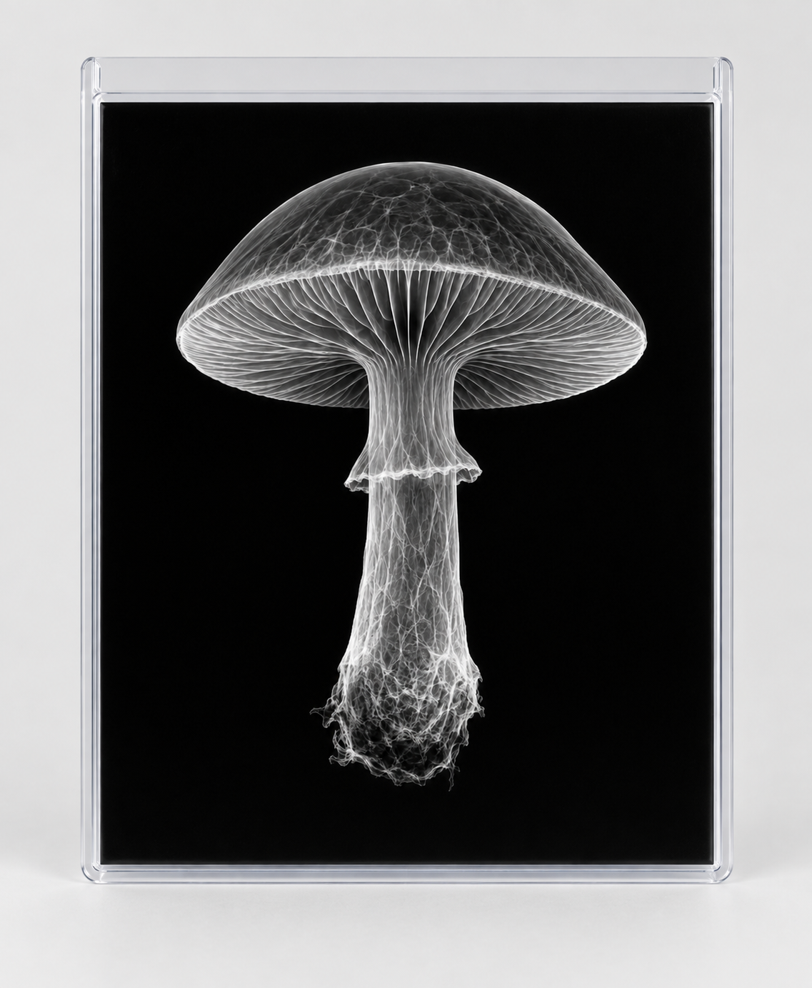 EXPOSED AUTUMN — MUSHROOM in clear rigid card sleeve