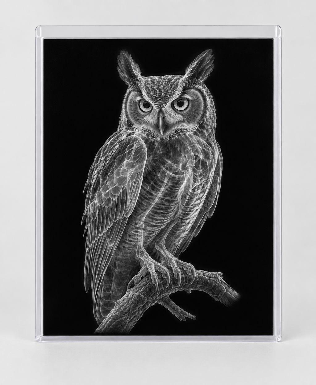 EXPOSED AUTUMN — OWL in clear rigid card sleeve