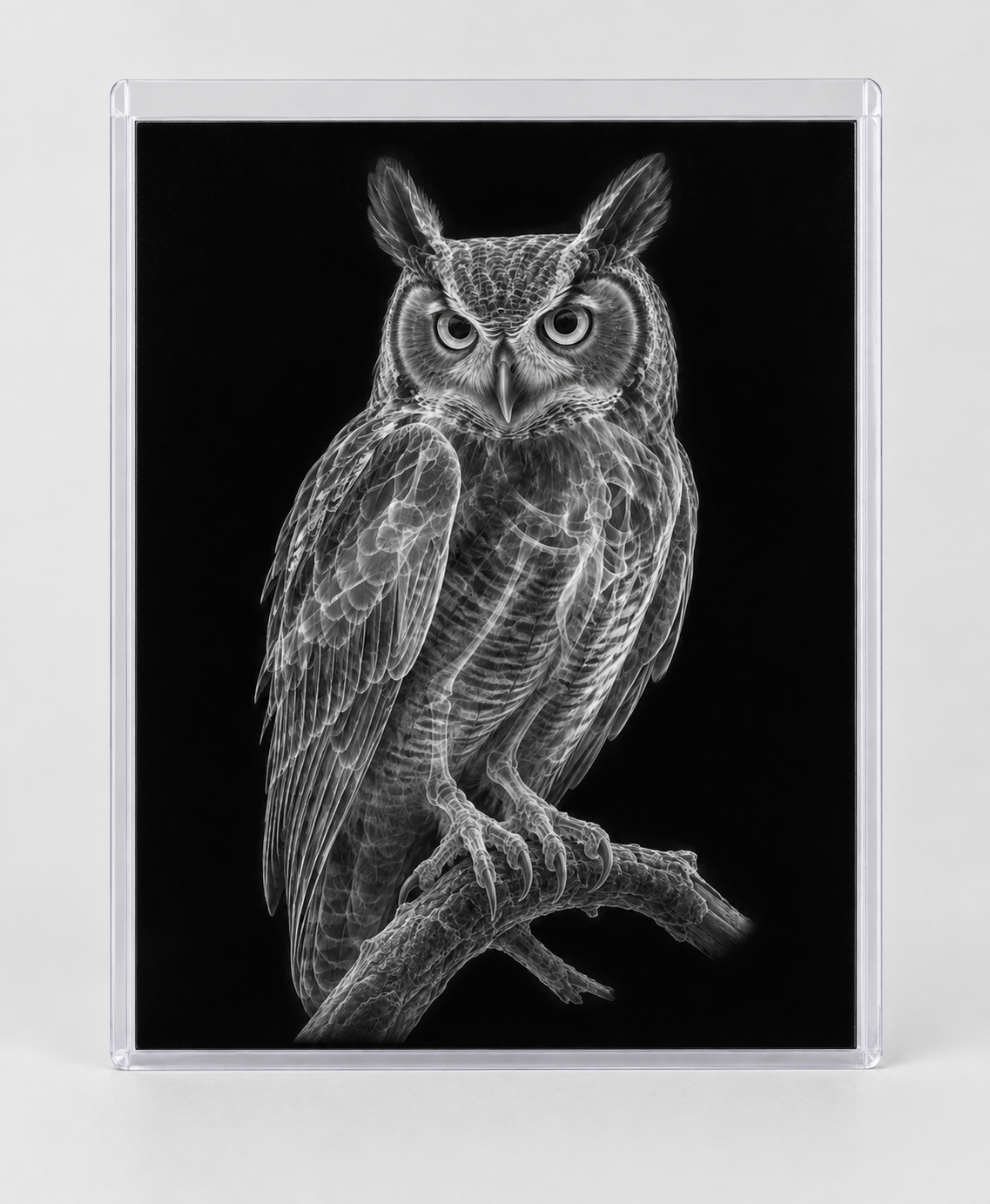 EXPOSED AUTUMN — OWL in clear rigid card sleeve