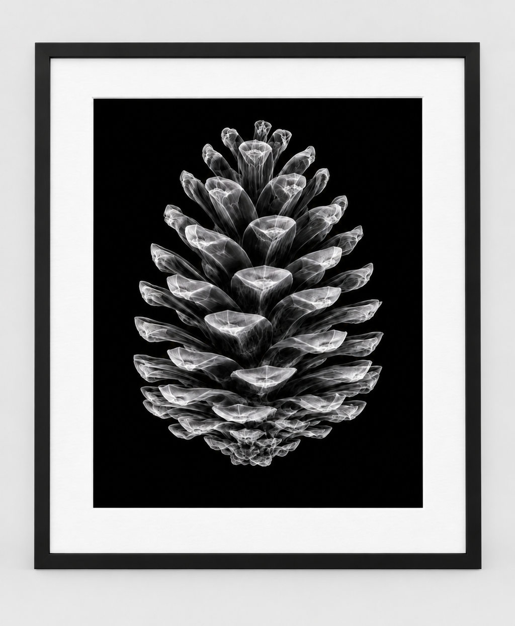 EXPOSED AUTUMN — PINECONE — 14 × 17 artwork in a slim black 16 × 20 frame with white mat