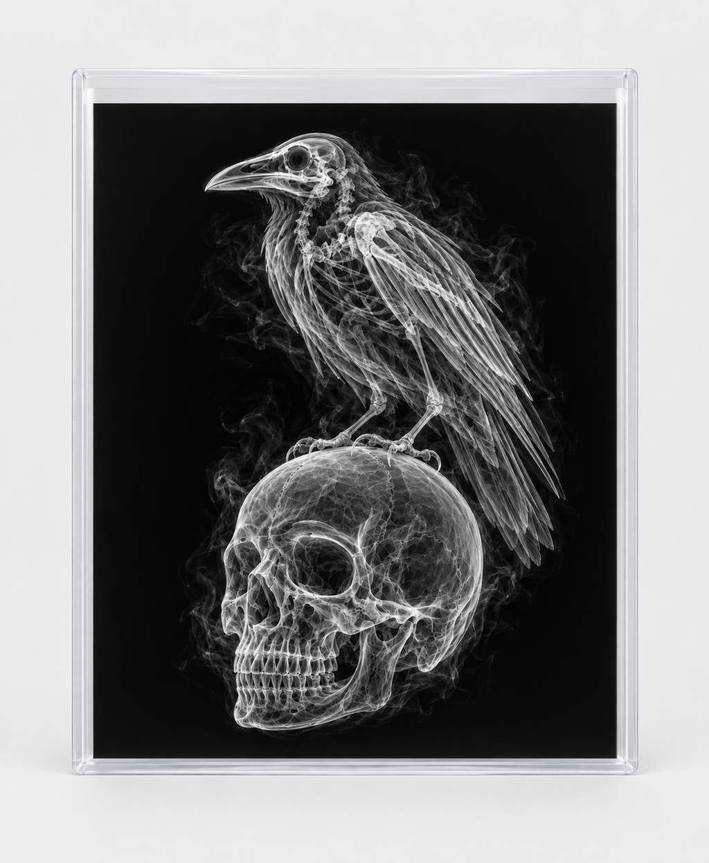 EXPOSED HALLOWEEN — RAVEN ON SKULL in clear rigid card sleeve