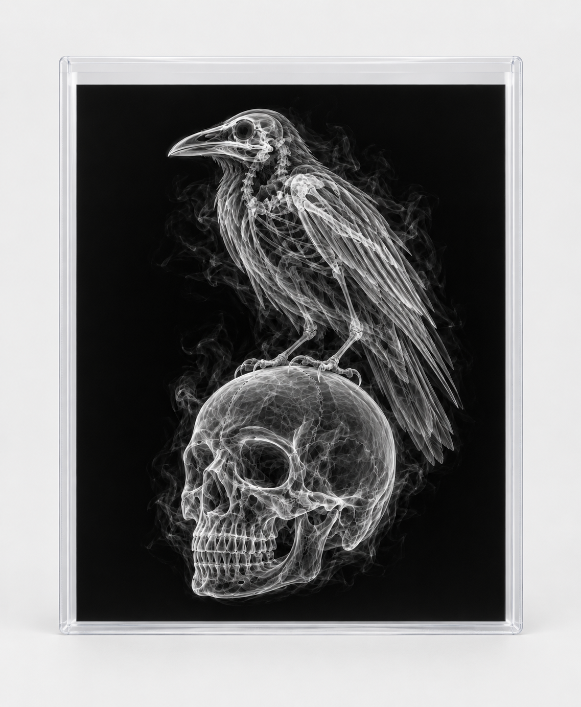 EXPOSED HALLOWEEN — RAVEN ON SKULL in clear rigid card sleeve