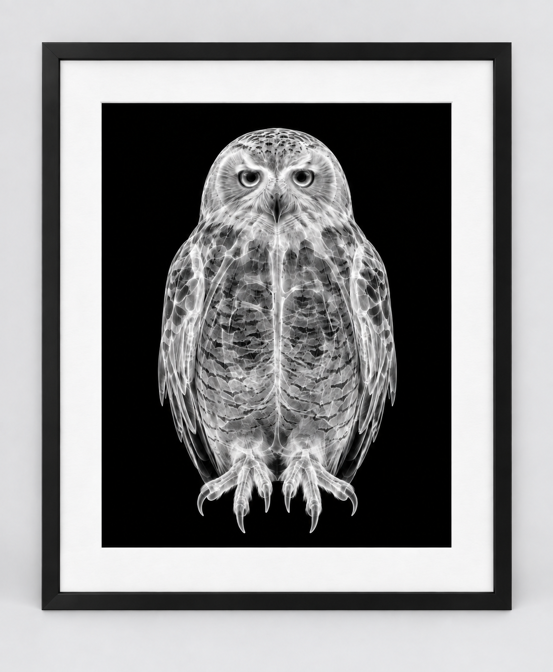 EXPOSED WINTER — SNOW OWL — 14 × 17 artwork in a slim black 16 × 20 frame with white mat