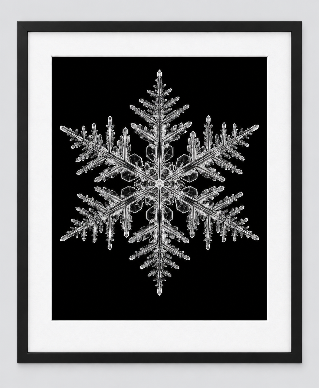 EXPOSED WINTER — SNOWFLAKE — 14 × 17 artwork in a slim black 16 × 20 frame with white mat