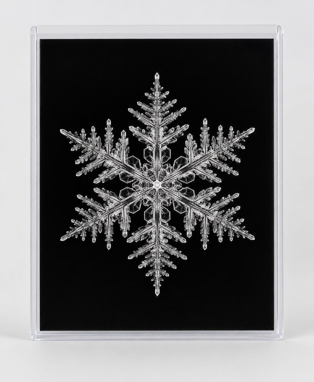 EXPOSED WINTER — SNOWFLAKE in clear rigid card sleeve