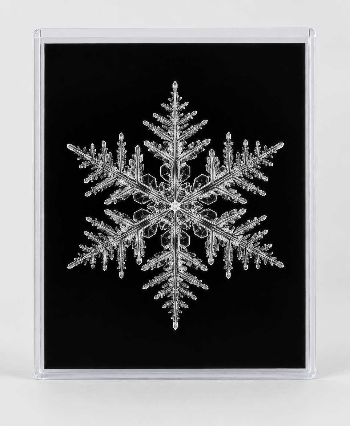 EXPOSED WINTER — SNOWFLAKE in clear rigid card sleeve