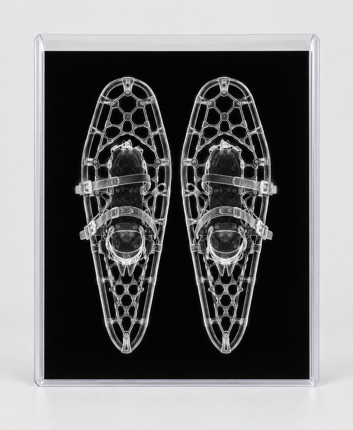 EXPOSED WINTER — SNOWSHOES in clear rigid card sleeve