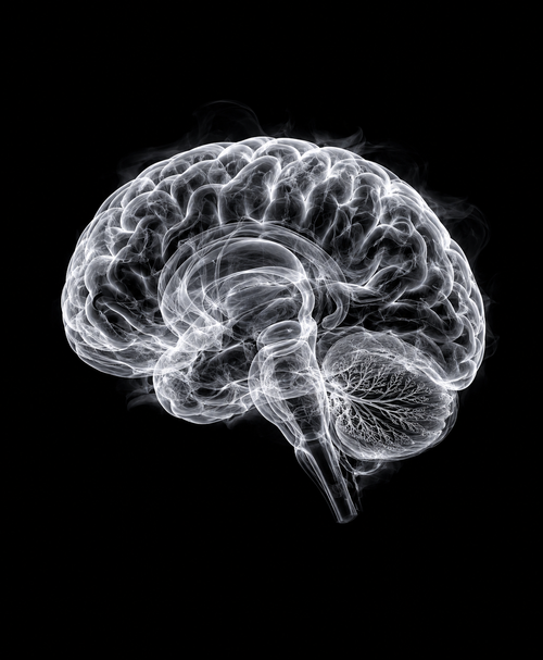 EXPOSED Brain high-detail X-ray artwork