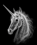 EXPOSED Unicorn Head high-detail X-ray artwork
