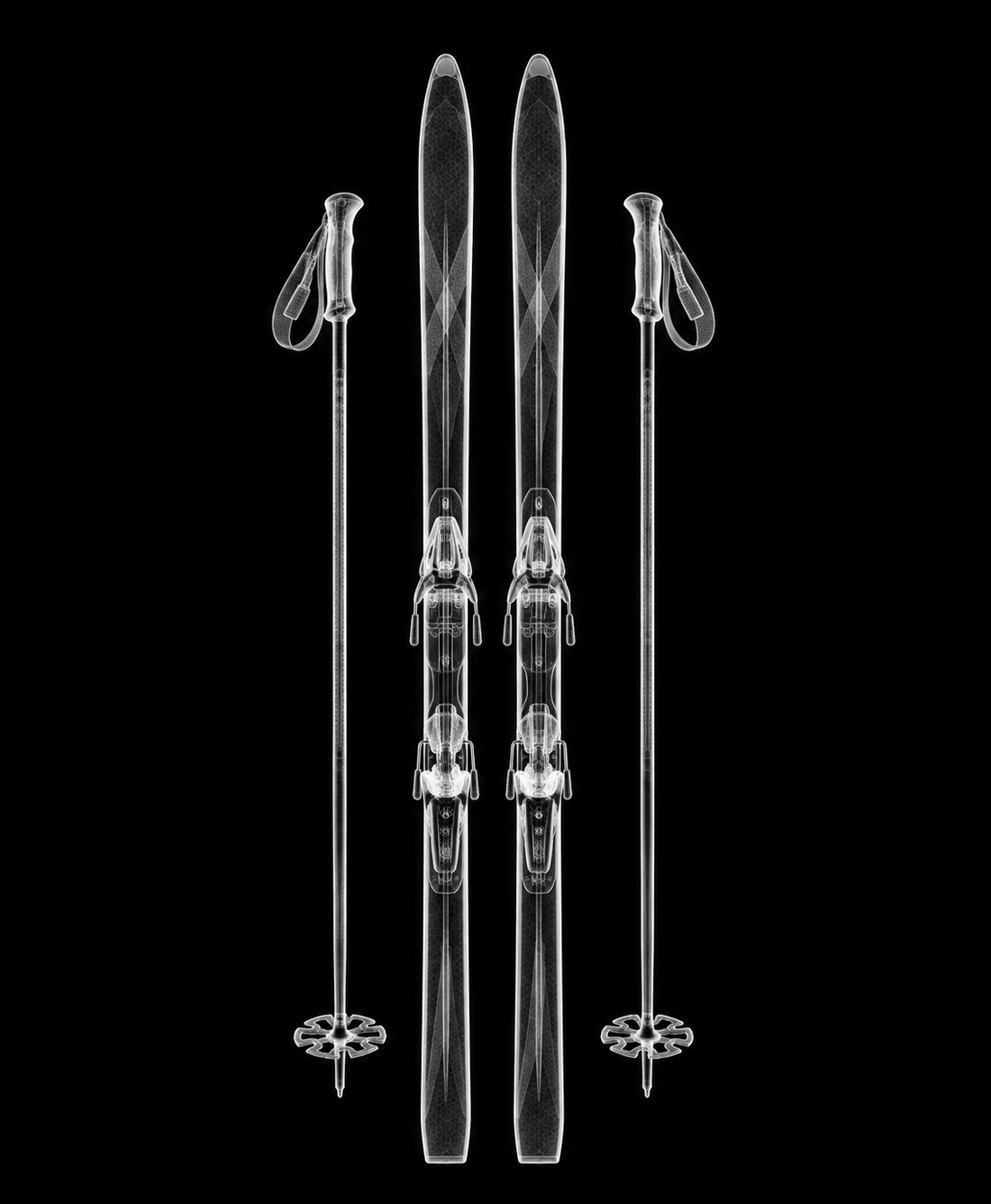EXPOSED WINTER — CROSS-COUNTRY SKIS WITH POLES