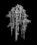 EXPOSED Winter Icicle Cluster X-ray artwork