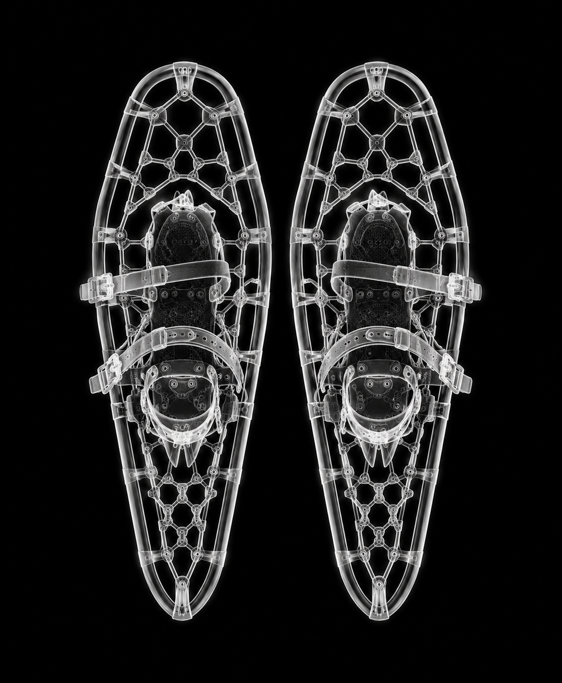 EXPOSED WINTER — SNOWSHOES