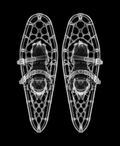 EXPOSED Winter Snowshoes X-ray artwork